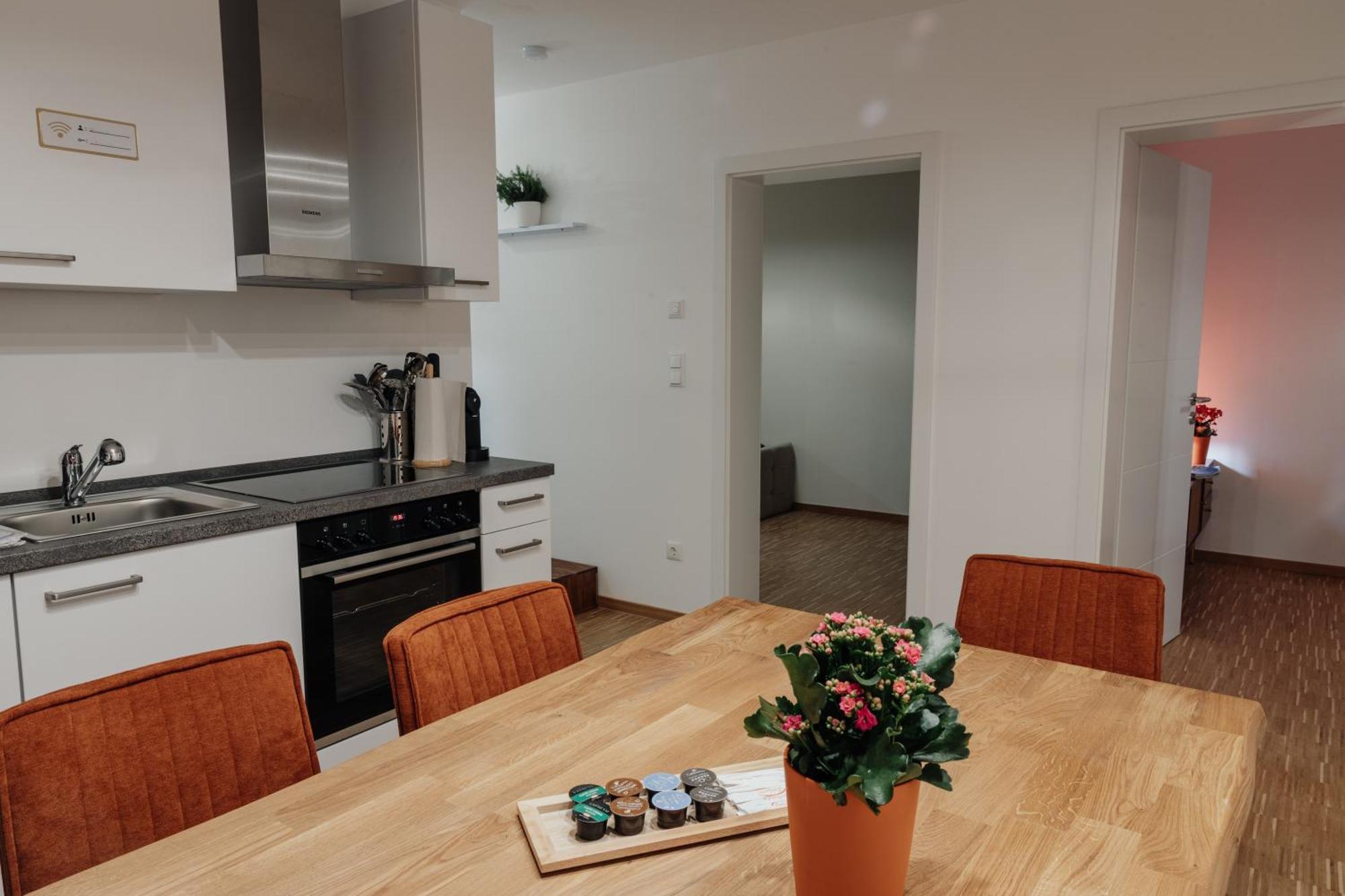 Passaus Motto Appartements! Solo - Paerchen - Familien - Gruppen 객실 사진