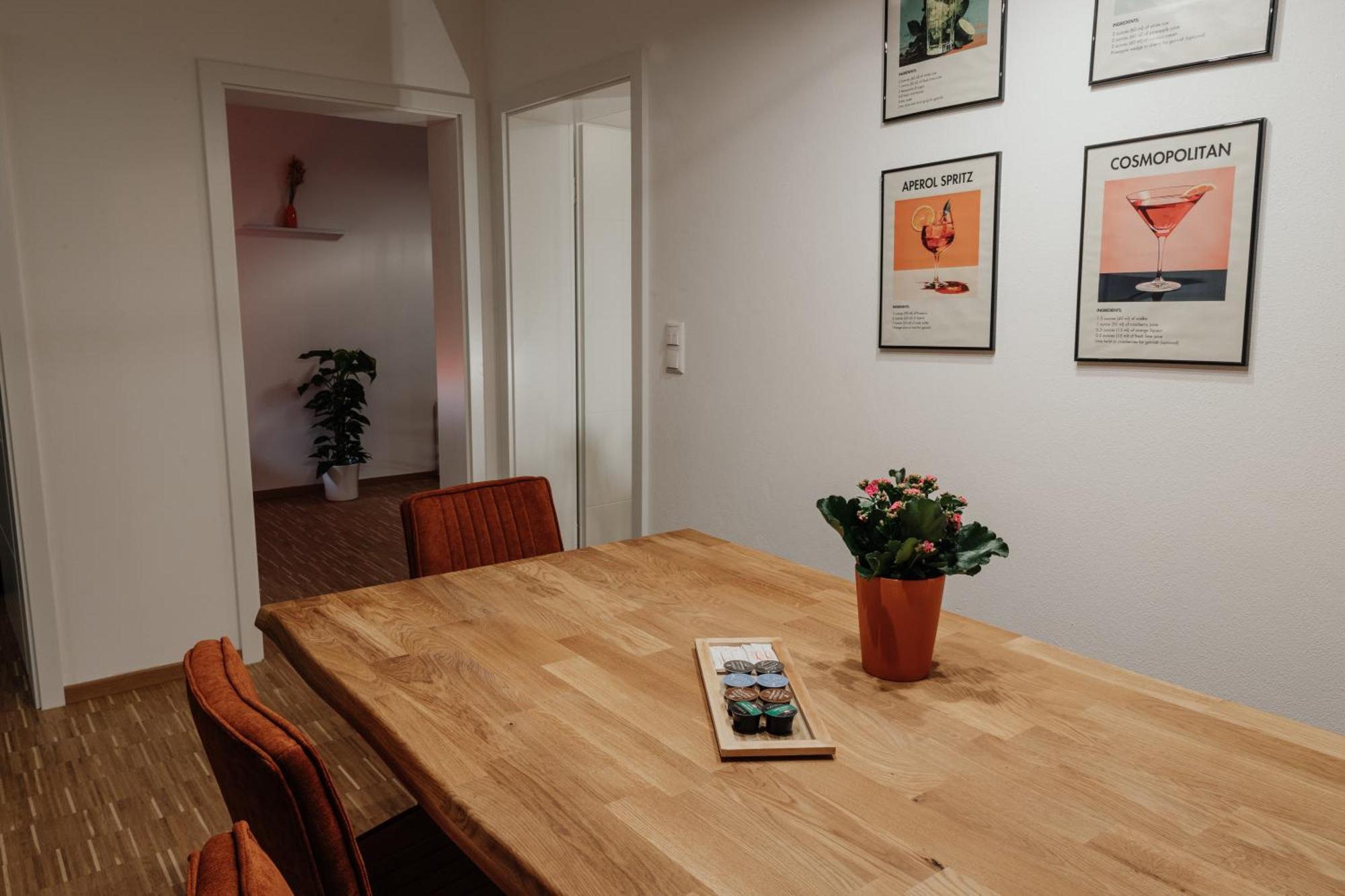 Passaus Motto Appartements! Solo - Paerchen - Familien - Gruppen 객실 사진